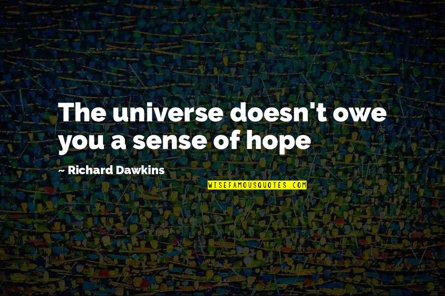 Souls Connecting Quotes By Richard Dawkins: The universe doesn't owe you a sense of