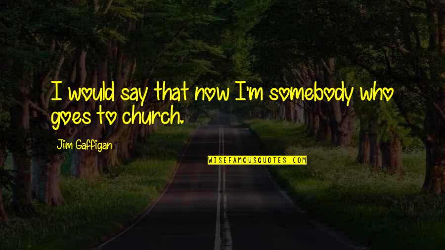 Souls Finding Each Other Quotes By Jim Gaffigan: I would say that now I'm somebody who