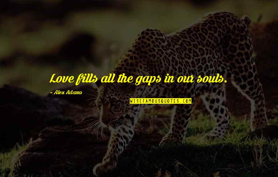 Souls In Love Quotes By Alex Adams: Love fills all the gaps in our souls.