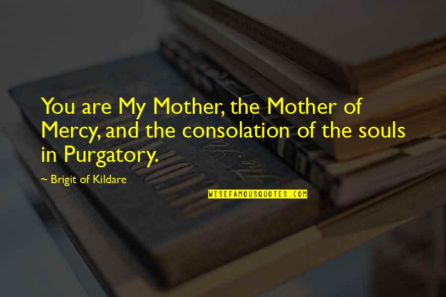 Souls In Purgatory Quotes By Brigit Of Kildare: You are My Mother, the Mother of Mercy,