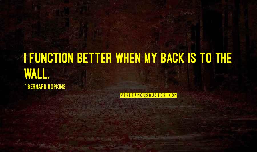 Soulstice Quotes By Bernard Hopkins: I function better when my back is to