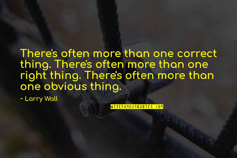 Souly Quotes By Larry Wall: There's often more than one correct thing. There's