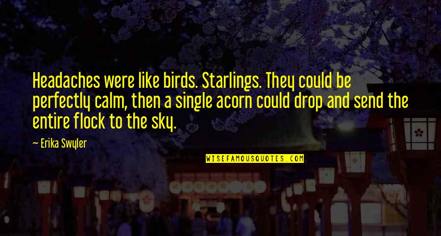 Soumia Quotes By Erika Swyler: Headaches were like birds. Starlings. They could be