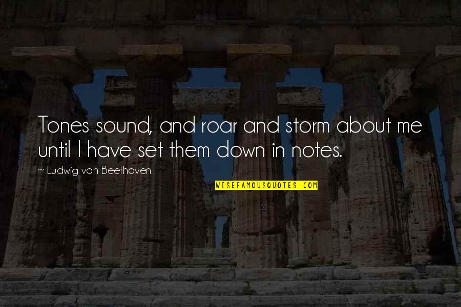 Sound And Music Quotes By Ludwig Van Beethoven: Tones sound, and roar and storm about me