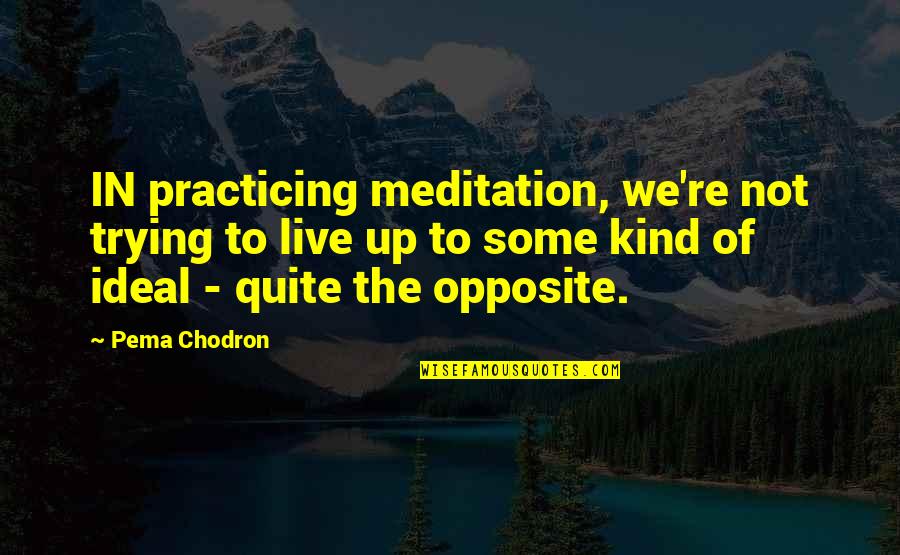 Sound Bites Quotes By Pema Chodron: IN practicing meditation, we're not trying to live