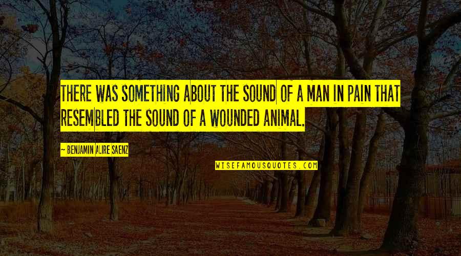 Sound Man Quotes By Benjamin Alire Saenz: There was something about the sound of a