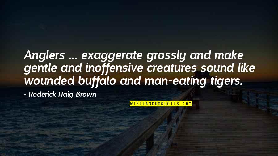 Sound Man Quotes By Roderick Haig-Brown: Anglers ... exaggerate grossly and make gentle and