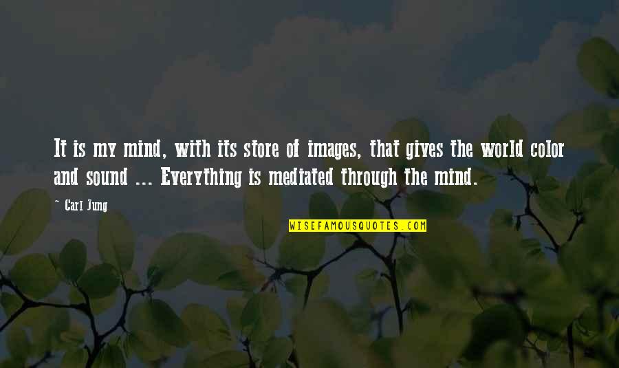 Sound Mind Quotes By Carl Jung: It is my mind, with its store of