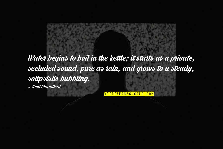 Sound Of Water Quotes By Amit Chaudhuri: Water begins to boil in the kettle; it Sound Of Water Quotes By Amit Chaudhuri: Water begins to boil in the kettle; it