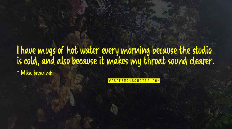 Sound Of Water Quotes By Mika Brzezinski: I have mugs of hot water every morning
