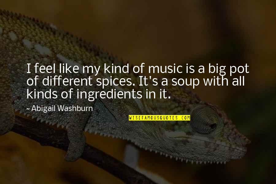 Soup's Quotes By Abigail Washburn: I feel like my kind of music is Soup's Quotes By Abigail Washburn: I feel like my kind of music is
