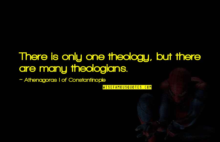 Soupspoon Quotes By Athenagoras I Of Constantinople: There is only one theology, but there are