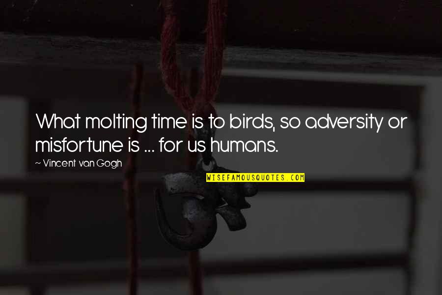 Soupy Sez Quotes By Vincent Van Gogh: What molting time is to birds, so adversity