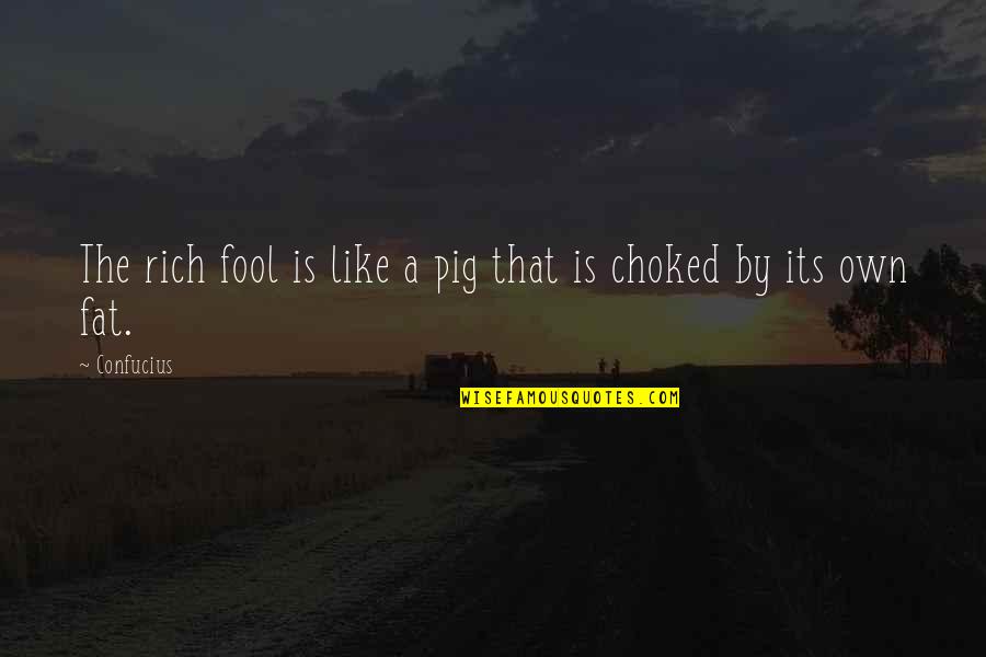 Sour Kangaroo Quotes By Confucius: The rich fool is like a pig that