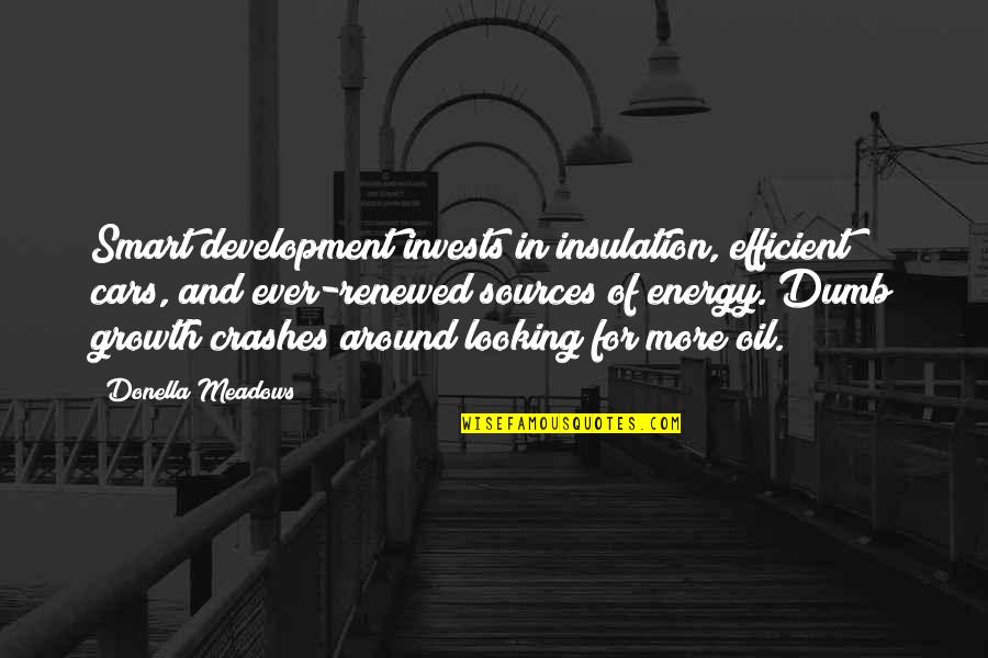 Sources Of Quotes By Donella Meadows: Smart development invests in insulation, efficient cars, and
