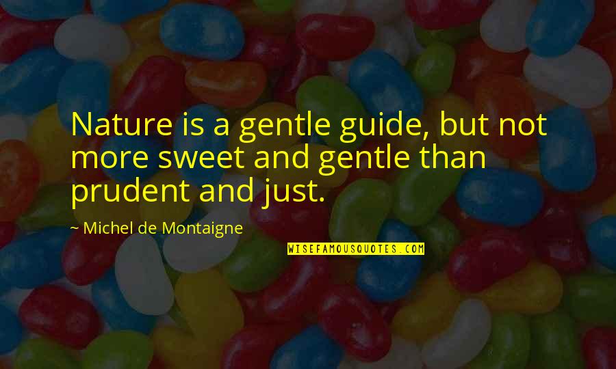 Sourround Quotes By Michel De Montaigne: Nature is a gentle guide, but not more