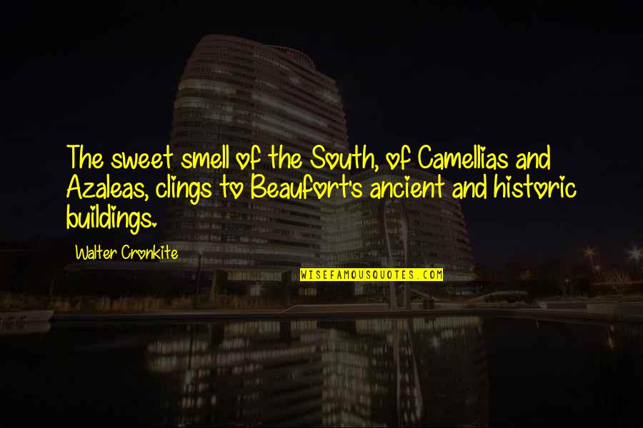 South And Camellias Quotes By Walter Cronkite: The sweet smell of the South, of Camellias