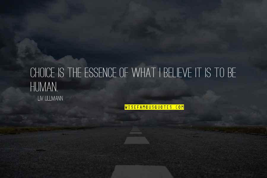 South Park Mr Garrison Quotes By Liv Ullmann: Choice is the essence of what I believe