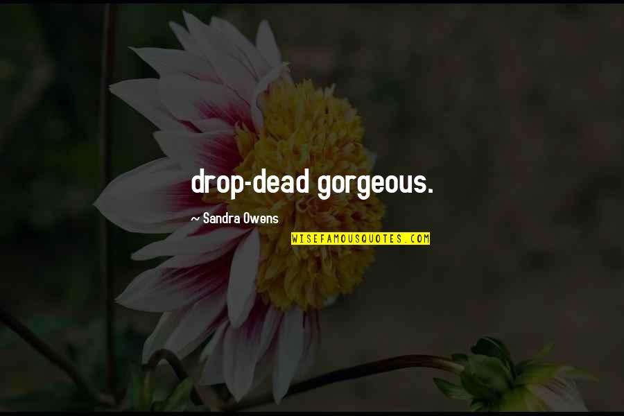 Southcom Quotes By Sandra Owens: drop-dead gorgeous. Southcom Quotes By Sandra Owens: drop-dead gorgeous.