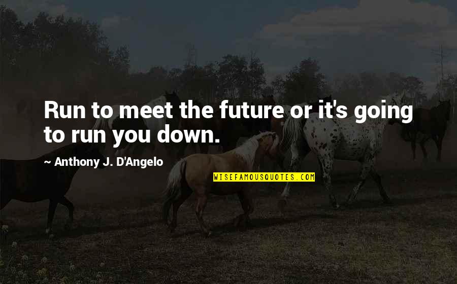 Southeastward Quotes By Anthony J. D'Angelo: Run to meet the future or it's going