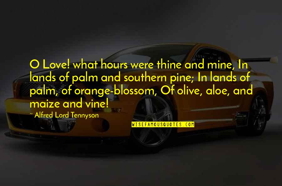 Southern Love Quotes By Alfred Lord Tennyson: O Love! what hours were thine and mine,