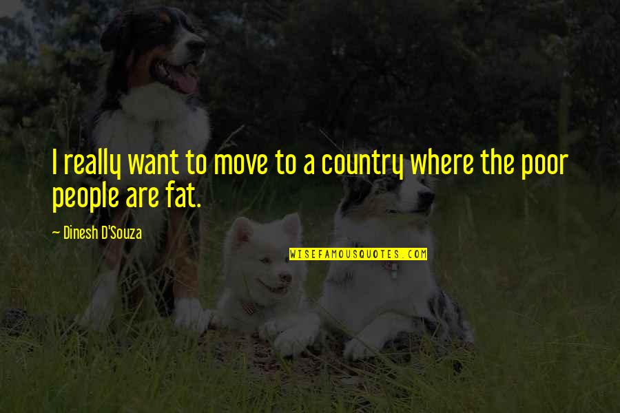 Souza Quotes By Dinesh D'Souza: I really want to move to a country Souza Quotes By Dinesh D'Souza: I really want to move to a country