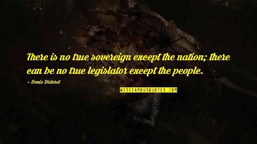 Sovereign Nation Quotes By Denis Diderot: There is no true sovereign except the nation;