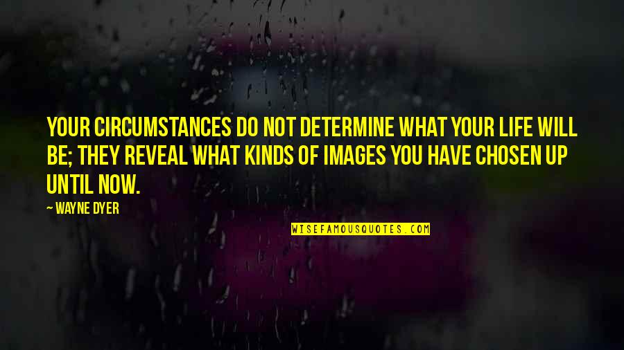 Sovran Quotes By Wayne Dyer: Your circumstances do not determine what your life