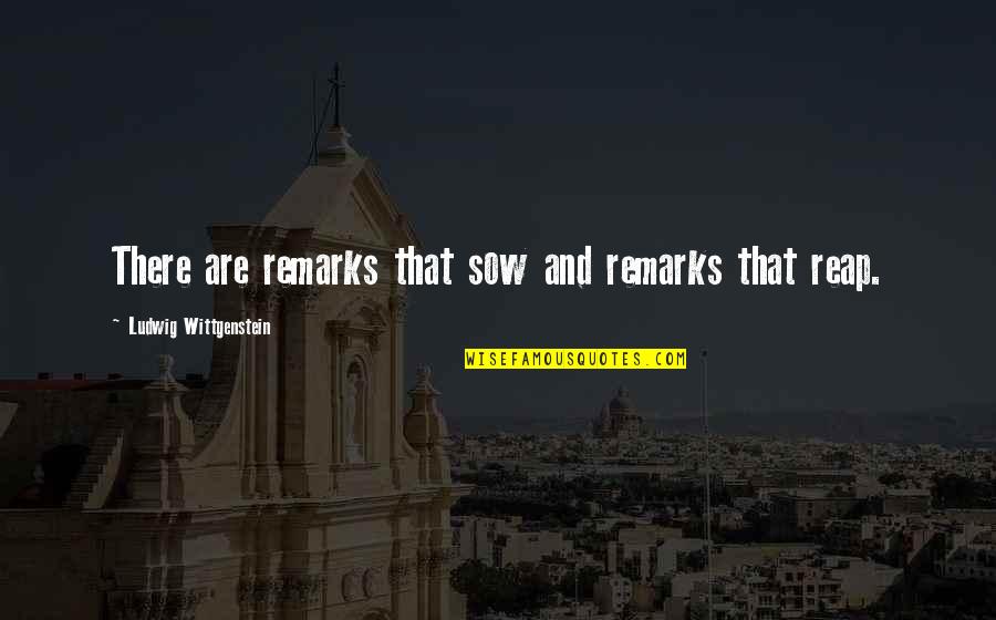 Sow And Reap Quotes By Ludwig Wittgenstein: There are remarks that sow and remarks that Sow And Reap Quotes By Ludwig Wittgenstein: There are remarks that sow and remarks that
