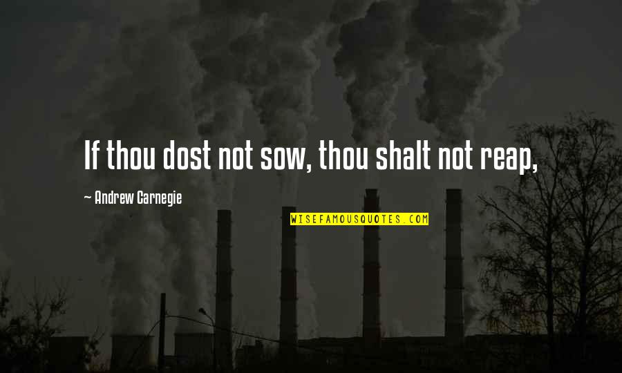 Sow As You Reap Quotes By Andrew Carnegie: If thou dost not sow, thou shalt not