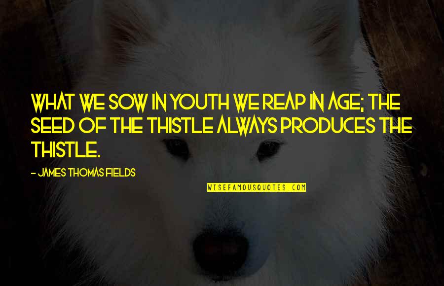Sow As You Reap Quotes By James Thomas Fields: What we sow in youth we reap in