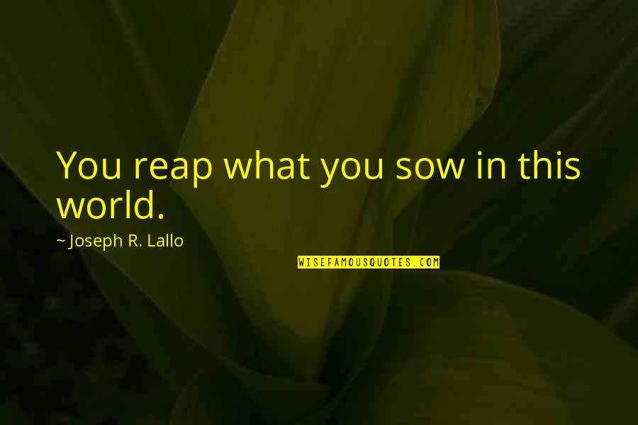 Sow Quotes By Joseph R. Lallo: You reap what you sow in this world.