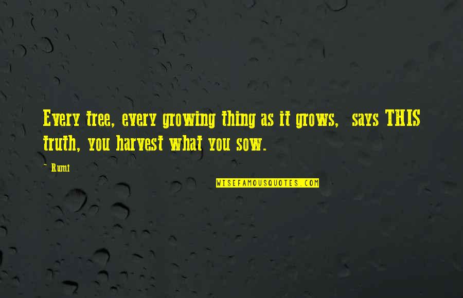Sow Quotes By Rumi: Every tree, every growing thing as it grows,