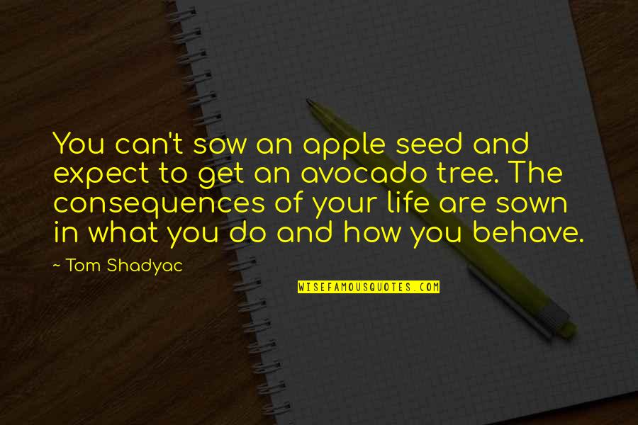 Sow Quotes By Tom Shadyac: You can't sow an apple seed and expect