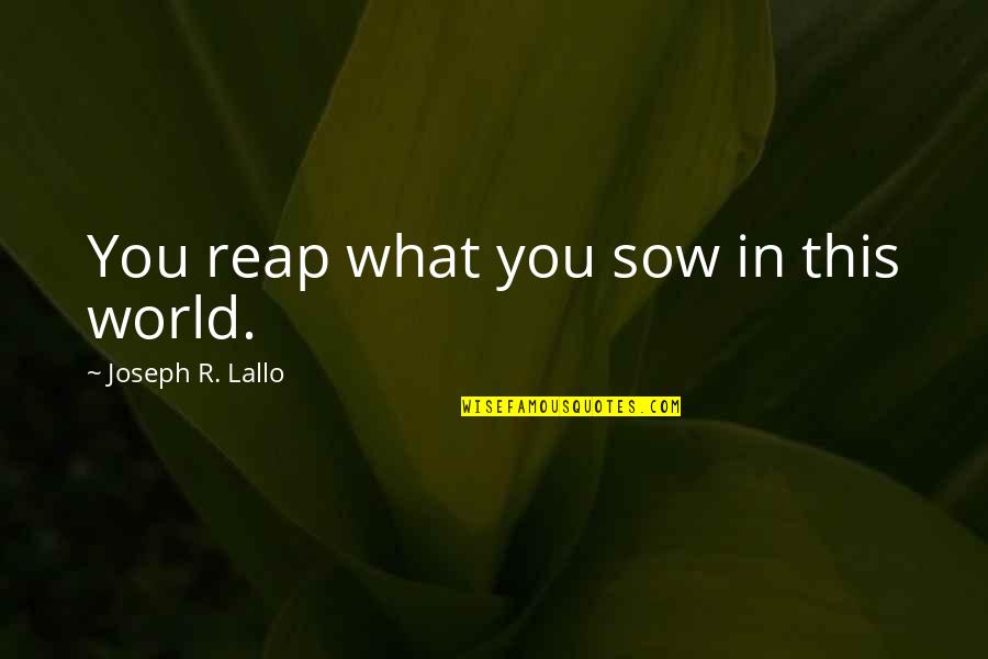 Sow's Quotes By Joseph R. Lallo: You reap what you sow in this world.