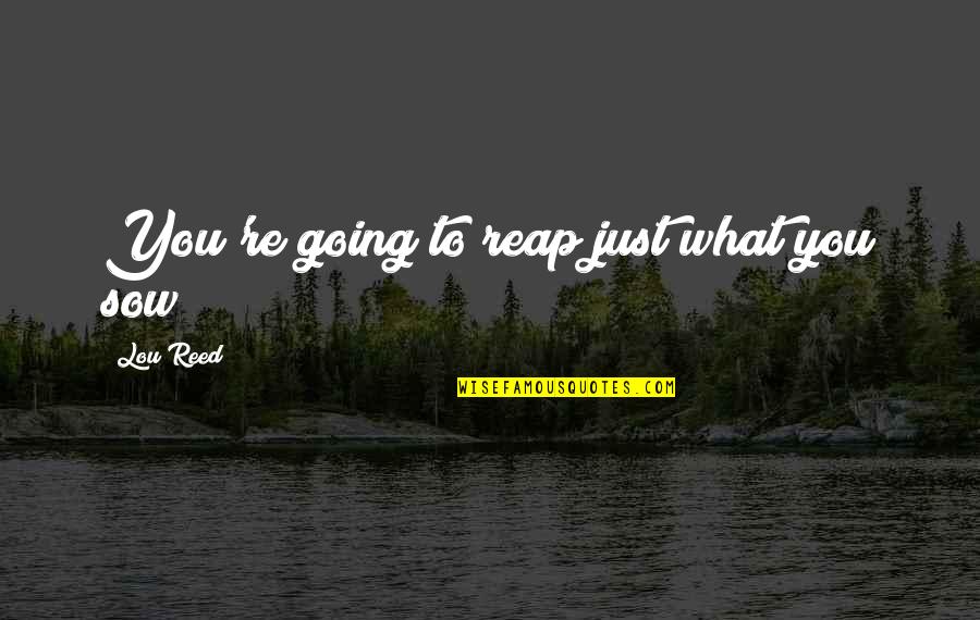 Sow's Quotes By Lou Reed: You're going to reap just what you sow Sow's Quotes By Lou Reed: You're going to reap just what you sow