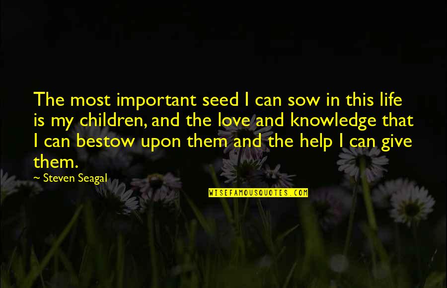 Sow's Quotes By Steven Seagal: The most important seed I can sow in Sow's Quotes By Steven Seagal: The most important seed I can sow in