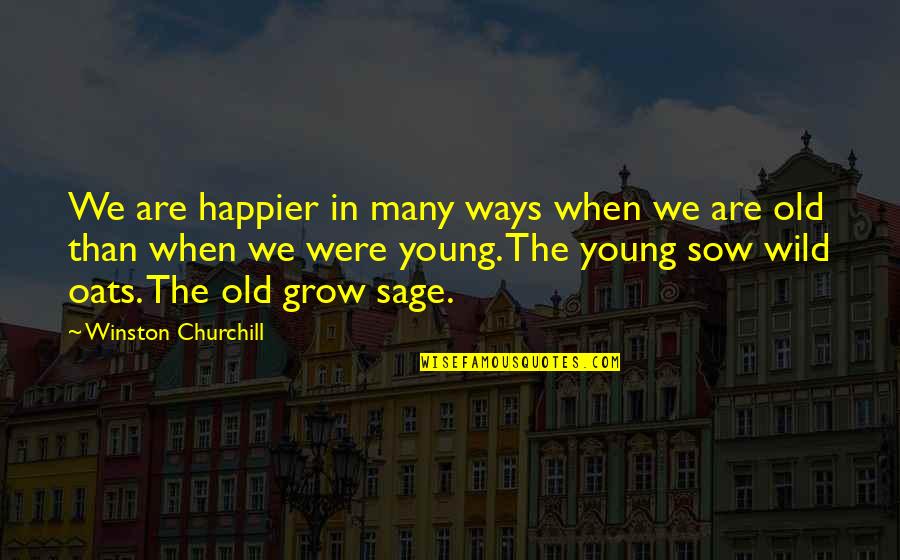 Sow's Quotes By Winston Churchill: We are happier in many ways when we