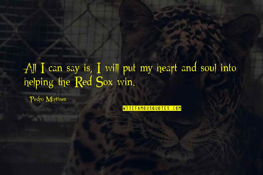 Sox Quotes By Pedro Martinez: All I can say is, I will put