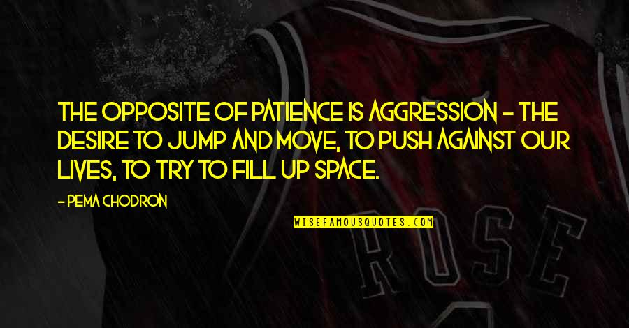 Space And Life Quotes By Pema Chodron: The opposite of patience is aggression - the