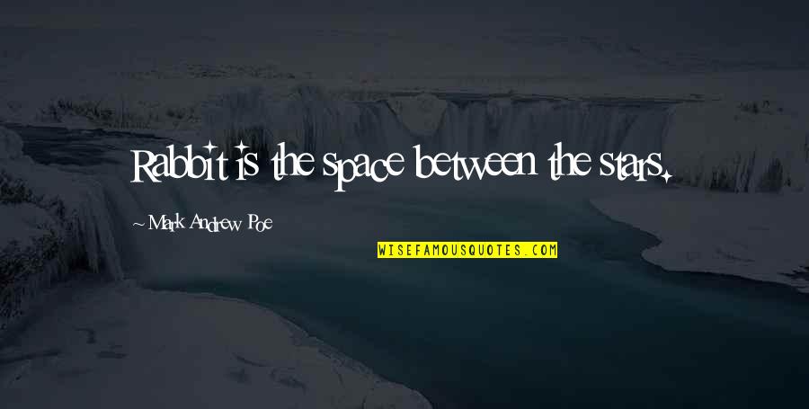 Space And Moon Quotes By Mark Andrew Poe: Rabbit is the space between the stars.