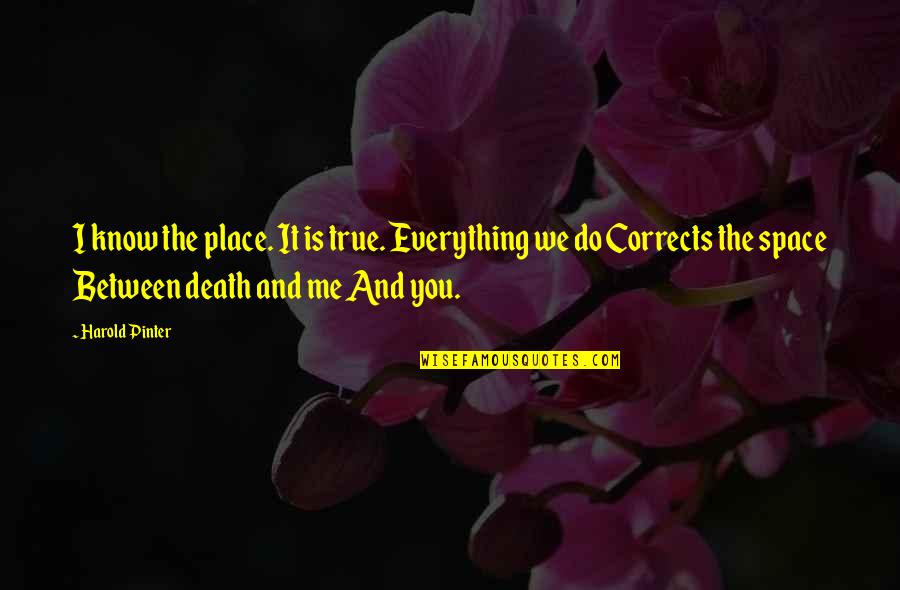 Space Death Quotes By Harold Pinter: I know the place. It is true. Everything Space Death Quotes By Harold Pinter: I know the place. It is true. Everything