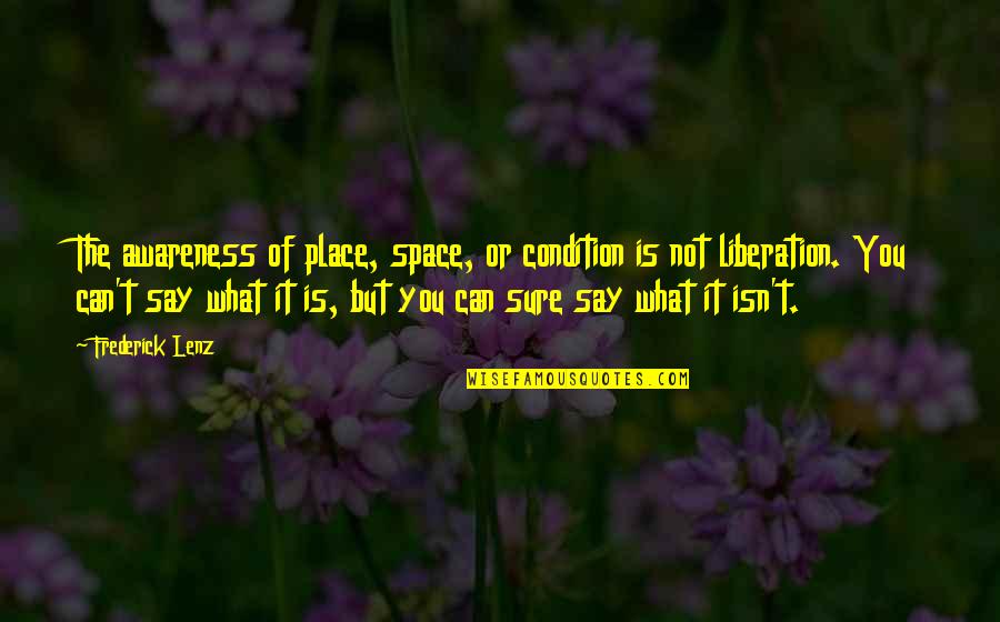 Space Is The Place Quotes By Frederick Lenz: The awareness of place, space, or condition is