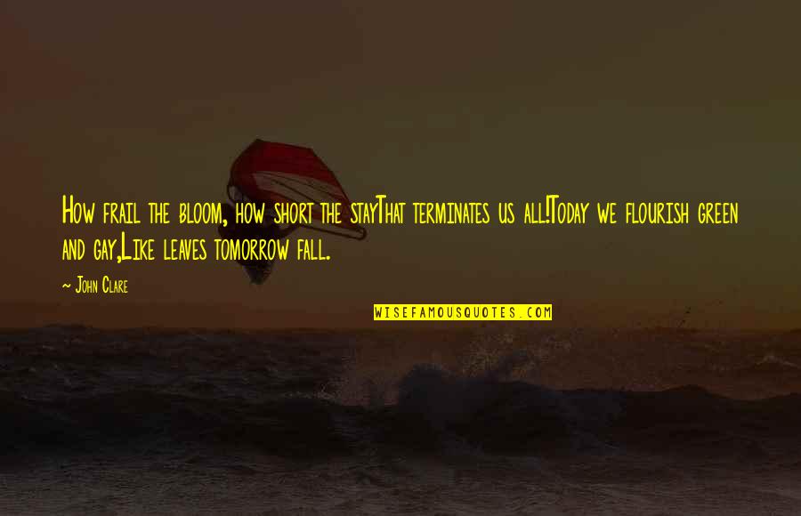 Space Jam Inspirational Quotes By John Clare: How frail the bloom, how short the stayThat