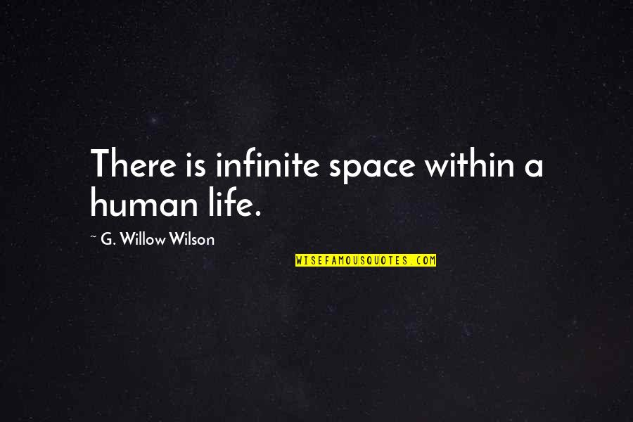 Space Life Quotes By G. Willow Wilson: There is infinite space within a human life.