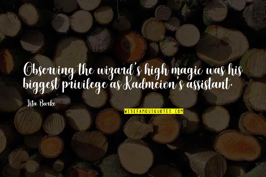 Space Team Quotes By Lita Burke: Observing the wizard's high magic was his biggest