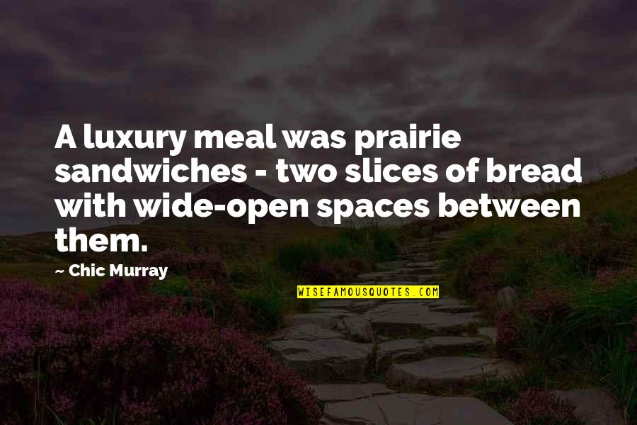 Spaces Between Quotes By Chic Murray: A luxury meal was prairie sandwiches - two