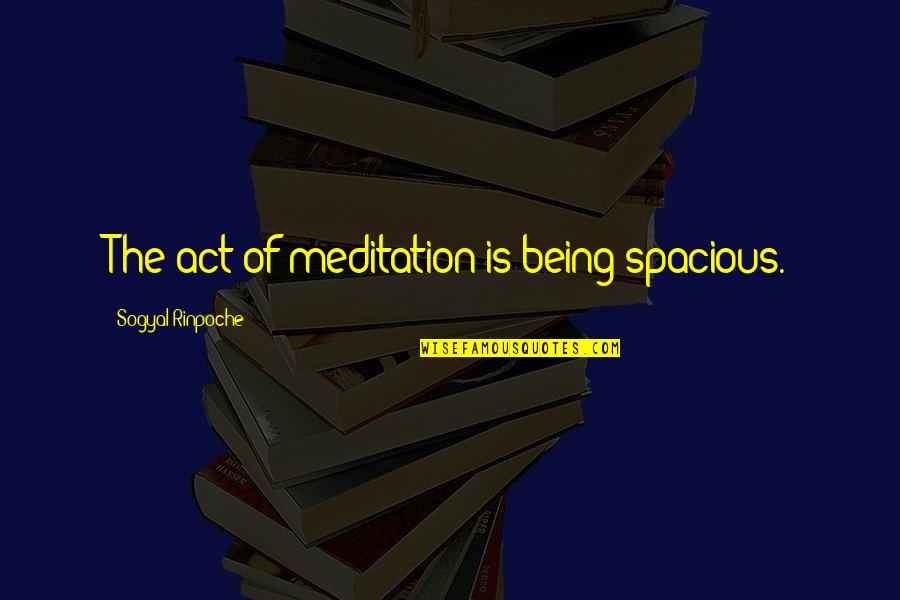 Spacious Quotes By Sogyal Rinpoche: The act of meditation is being spacious.