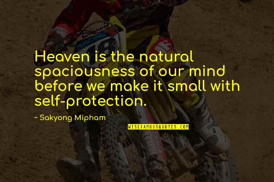Spaciousness Quotes By Sakyong Mipham: Heaven is the natural spaciousness of our mind