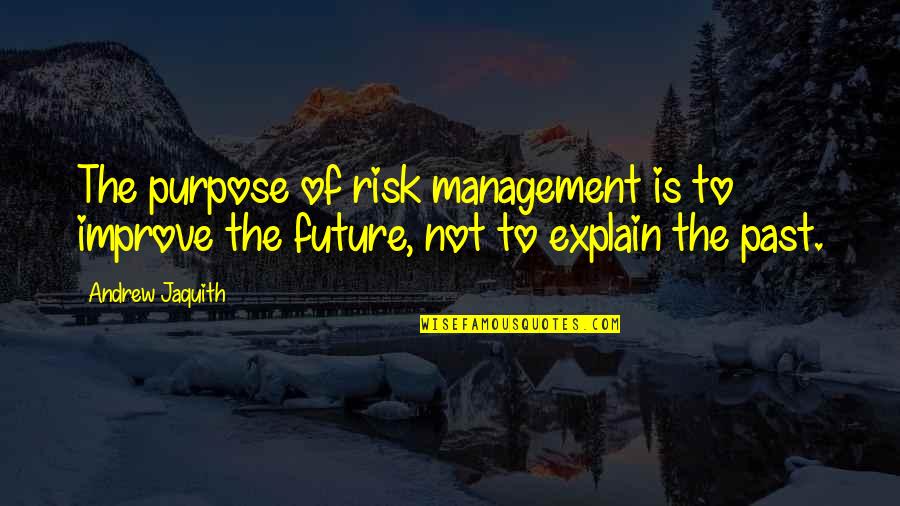 Spackler Tool Quotes By Andrew Jaquith: The purpose of risk management is to improve